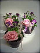 www.floristic.ru - .       ...