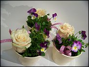 www.floristic.ru - .       ...