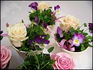 www.floristic.ru - .       ...