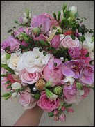 www.floristic.ru - .    