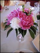 www.floristic.ru - . !!!!!