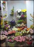 www.floristic.ru - .       ...