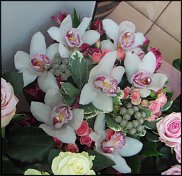 www.floristic.ru - .       ...