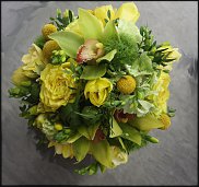 www.floristic.ru - .   ""