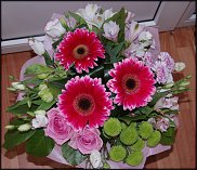 www.floristic.ru - .       ...