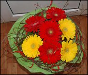 www.floristic.ru - .       ...