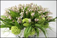 www.floristic.ru - .  