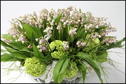 www.floristic.ru - .  