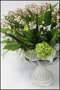 www.floristic.ru - .  