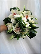 www.floristic.ru - .  .