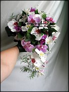 www.floristic.ru - .  .