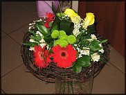 www.floristic.ru - .  