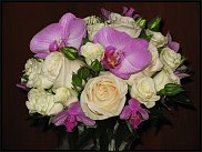 www.floristic.ru - .  