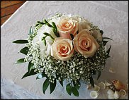 www.floristic.ru - .  