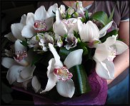 www.floristic.ru - .  