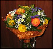 www.floristic.ru - .  