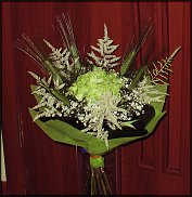 www.floristic.ru - .  