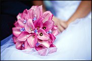 www.floristic.ru - Флористика. Помогите!!!!!