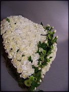 www.floristic.ru - .  