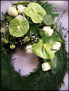 www.floristic.ru - .  