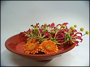 www.floristic.ru - .       ...