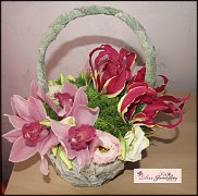 www.floristic.ru - .  