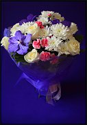 www.floristic.ru - .       ...