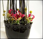 www.floristic.ru - .       ...