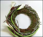 www.floristic.ru - .  ....   .