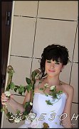 www.floristic.ru - .     