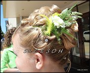 www.floristic.ru - .     