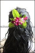 www.floristic.ru - .    