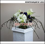 www.floristic.ru - .  