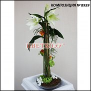 www.floristic.ru - .  