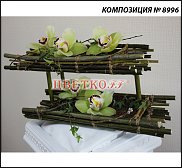 www.floristic.ru - .  