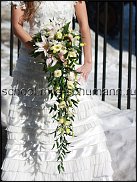 www.floristic.ru - .  .