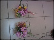 www.floristic.ru - .       ...