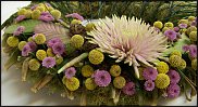 www.floristic.ru - .  ....   .