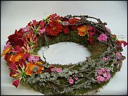 www.floristic.ru - .  ....   .