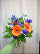 www.floristic.ru - .       ...