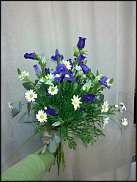 www.floristic.ru - .       ...