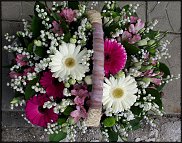 www.floristic.ru - .    -  2012 