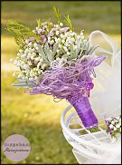 www.floristic.ru - .    -  2012 