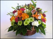 www.floristic.ru - . ,  .