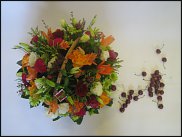 www.floristic.ru - . ,  .