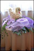 www.floristic.ru - .   ....