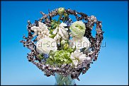 www.floristic.ru - .  . Mila Shumann.