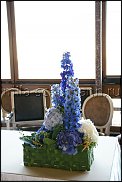 www.floristic.ru - .  . Mila Shumann.