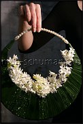 www.floristic.ru - .  . Mila Shumann.