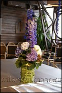 www.floristic.ru - .  . Mila Shumann.